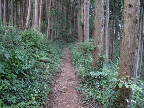 20161014hike (112)
